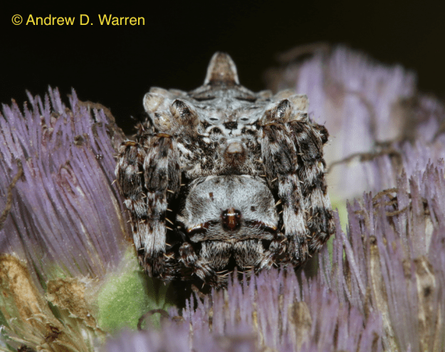 Screen Shot 2013-10-27 at 1.37.30 PM