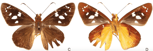 Screen Shot 2015-12-31 at 11.42.13 AM