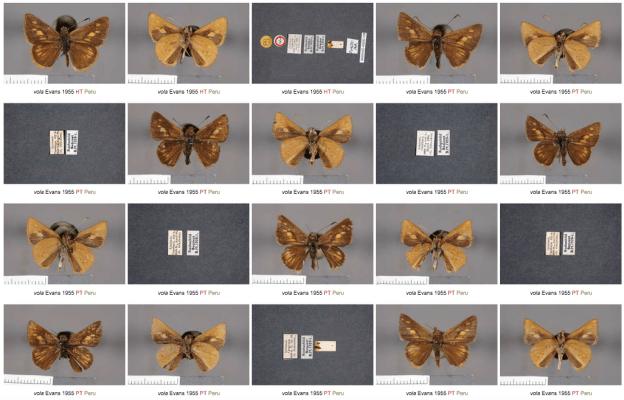 Screen Shot 2018-03-07 at 1.28.11 PM